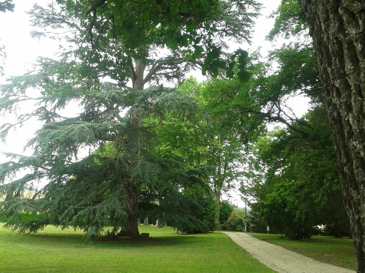 Clairac  Orangerie Du Chateau Marith - Domaine Avec Piscine מראה חיצוני תמונה